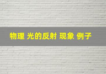 物理 光的反射 现象 例子